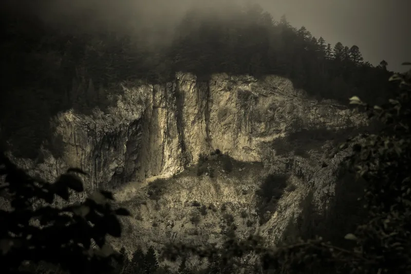 Enchanted Rampart