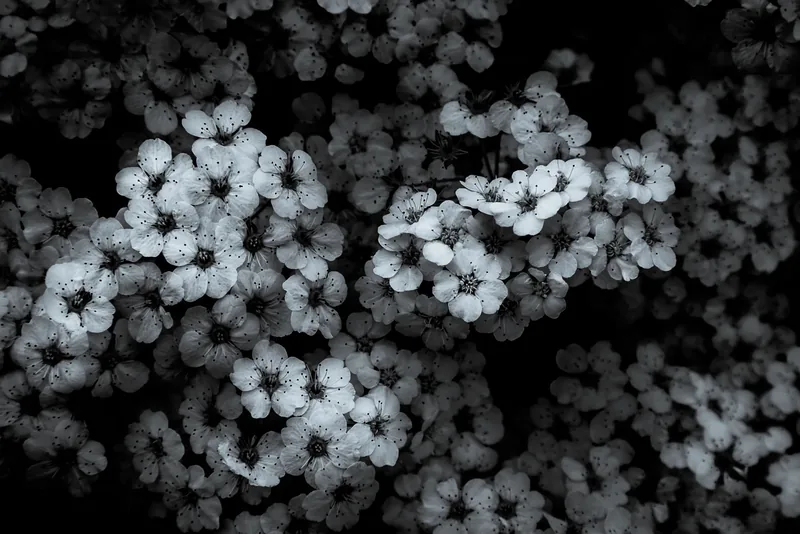 Lights in the Dark